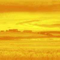 Métis Knowledge
